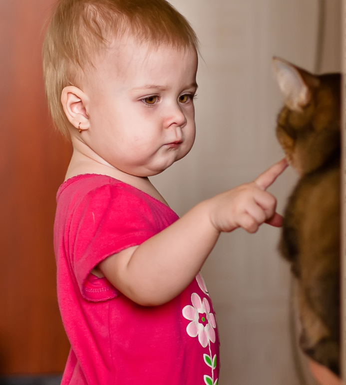 Всем кто ищет кота в одноклассниках посвящается. Вот он!