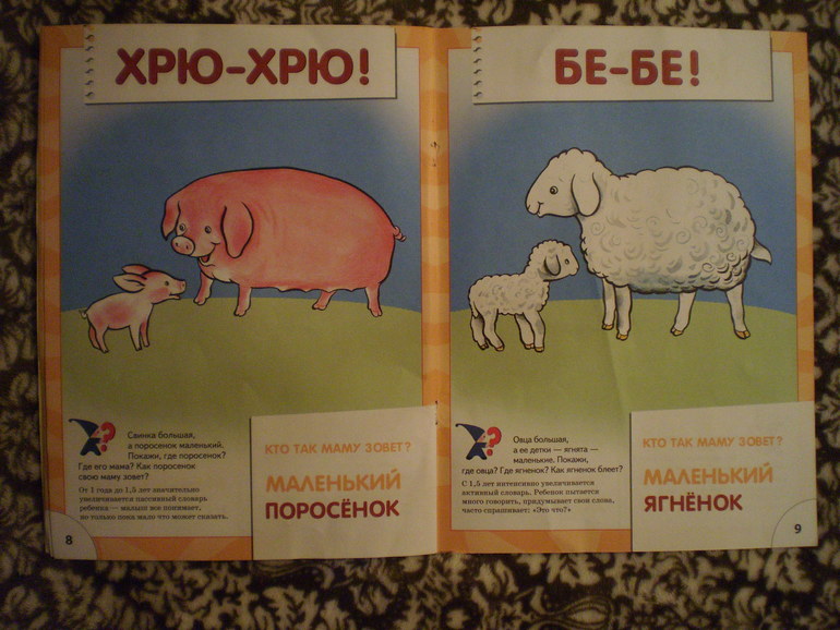 Как мы занимаемся по первой книжке