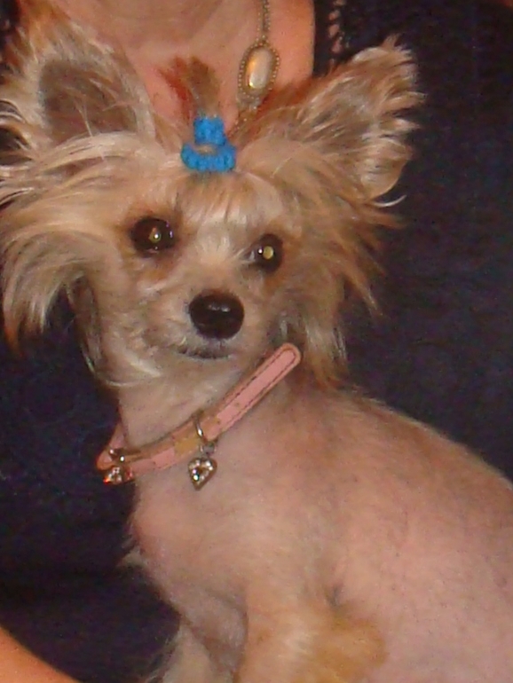 наша любимица