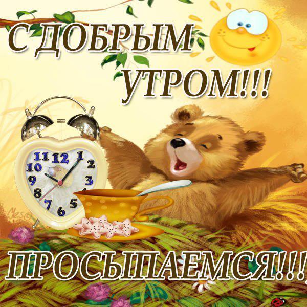 Доброе пожелание участникам группы Доброе пожелание участникам группы