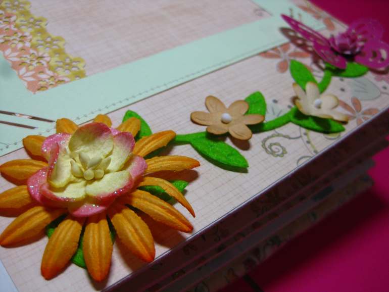 Мини-альбом первого года жизни Софии