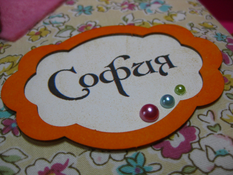 Мини-альбом первого года жизни Софии