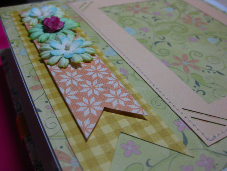 Мини-альбом первого года жизни Софии