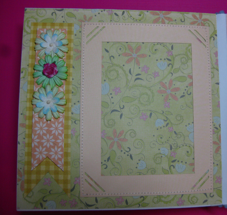 Мини-альбом первого года жизни Софии