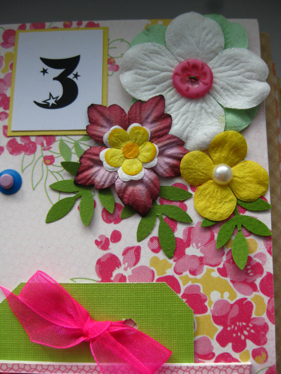 Альбом первого года жизни Алисы