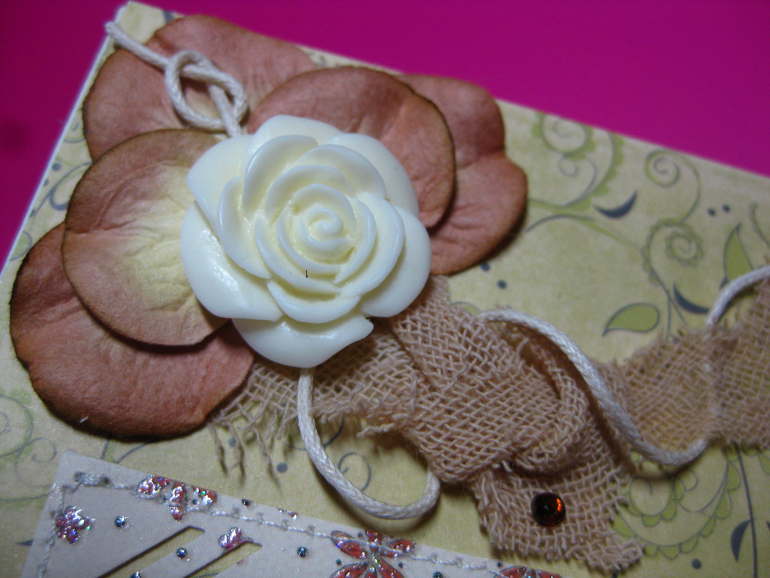 Мини-альбом первого года жизни Софии