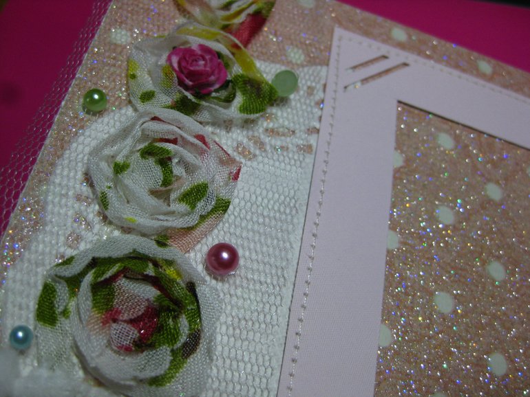 Мини-альбом первого года жизни Софии