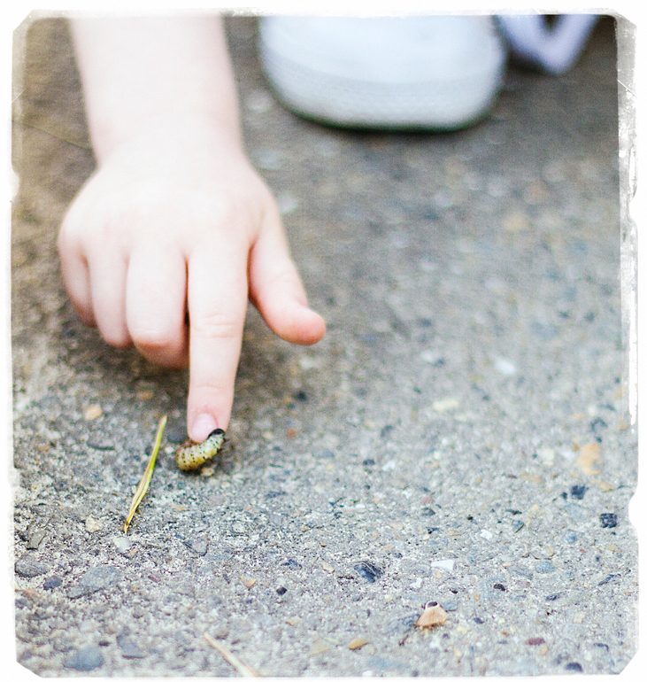 немного фото)