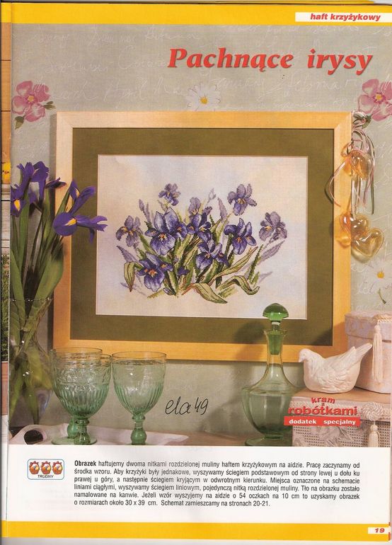 Оформила ирисы