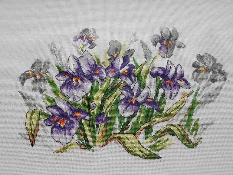 Первая в этом году, и еще немного