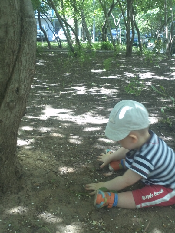 Наши прогулки...