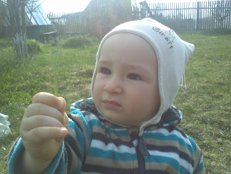 Наши прогулки...