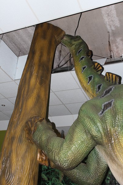 Музей динозавров в ТЦ Москва.