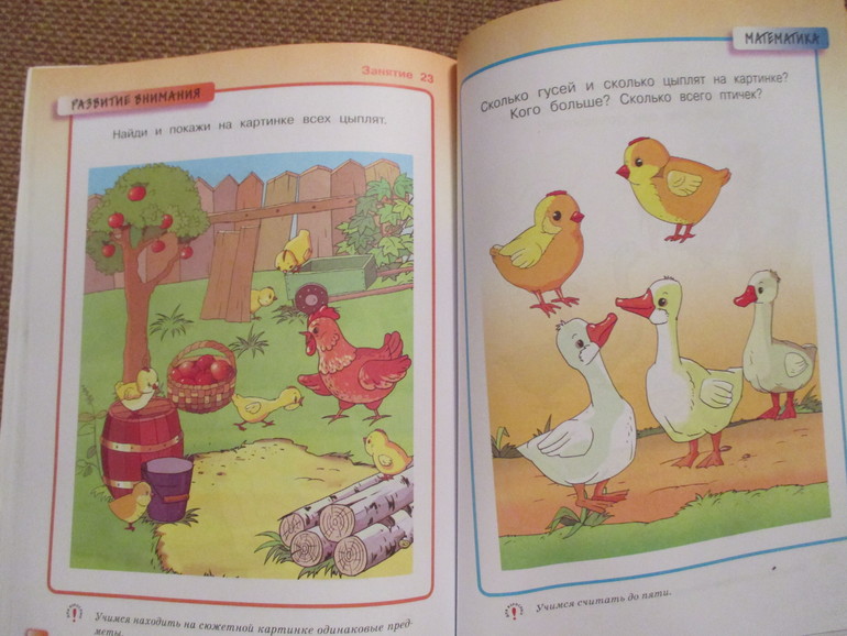 ФМ Птичий двор. Курочка и цыплята.