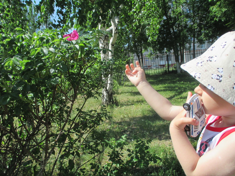 ТЗ Маша и медведь.