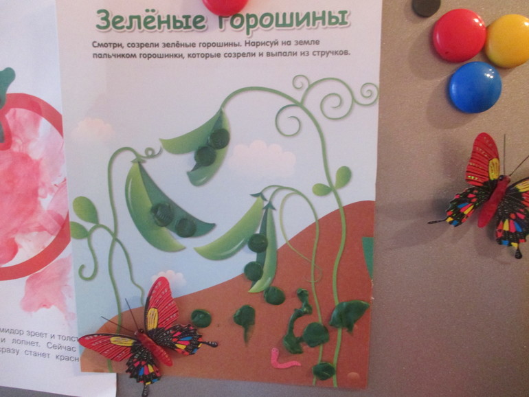 ФМ Цвета