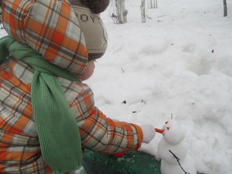 ТЗ Снегурочка.