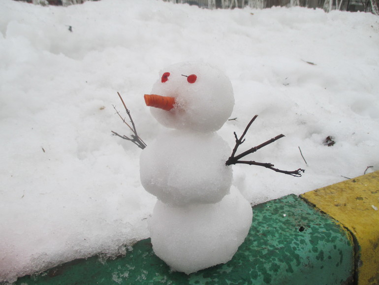 ТЗ Снегурочка.