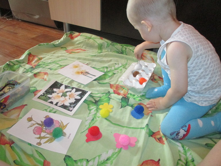 ФМ Как растут овощи.День четвертый