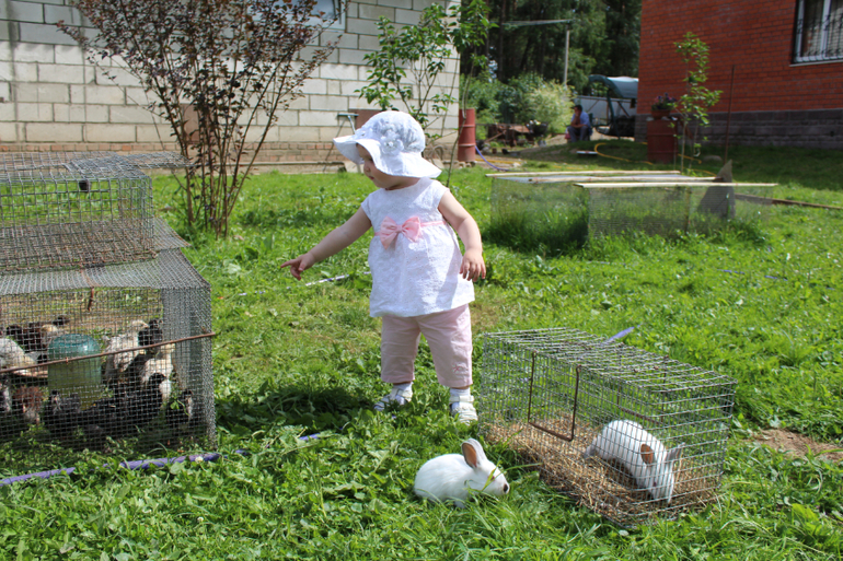 ТН "Навстречу природе"