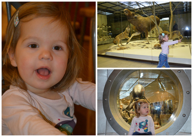 Государственный Дарвиновский музей