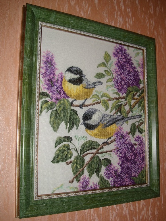 Оформила синичек