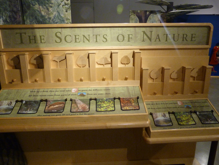 Как мы ходили в музей...