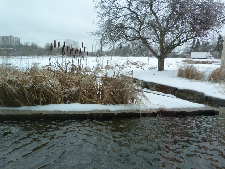 Как мы ходили в музей...