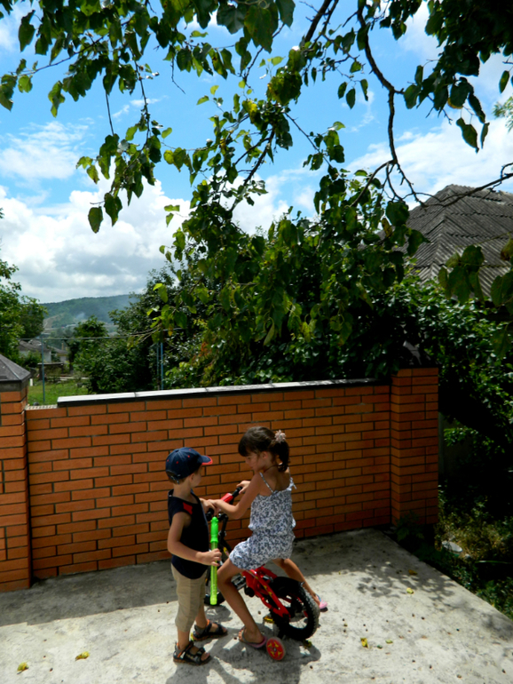 3b176b1729cfaae737a0b82777f18d5c.jpg