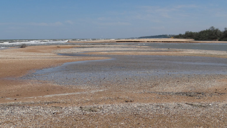 Голубицкая