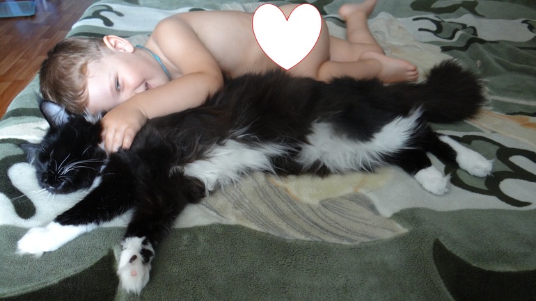 Любимая игрушка)))