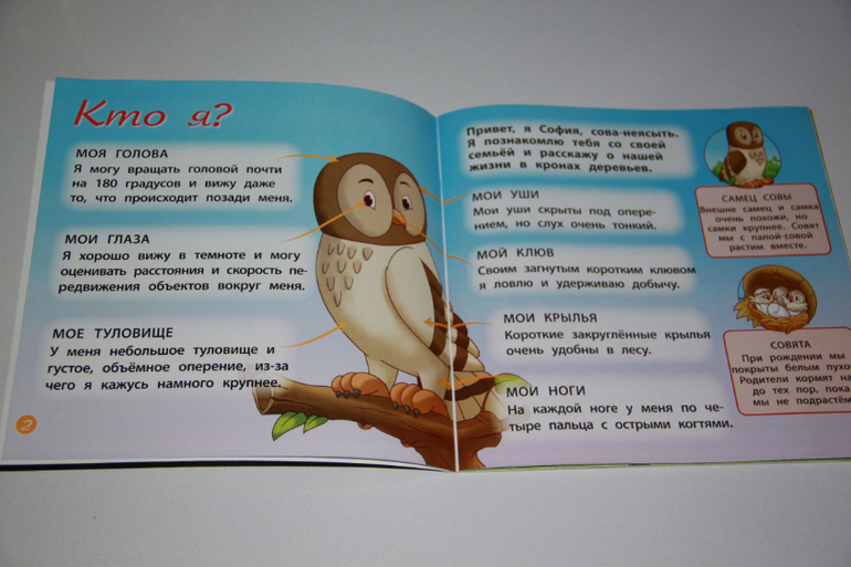 DeAgostini "Животные леса" 2-5 номер