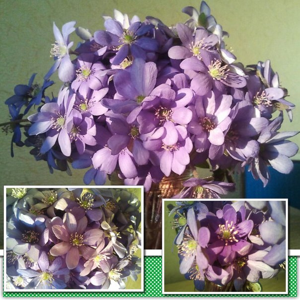 Букет от сына)))