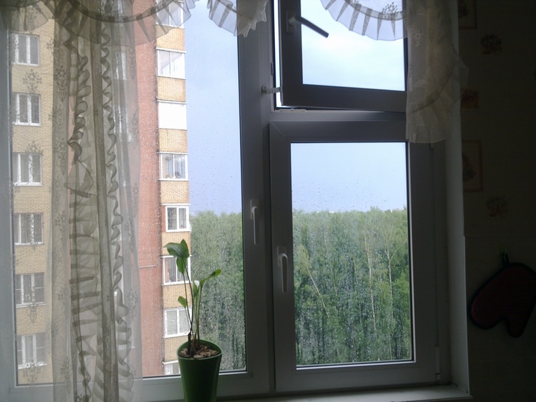НАШ красавец.
