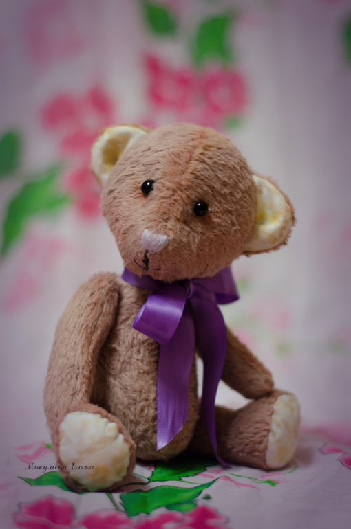 первый Мишка