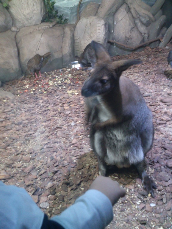 В ожидании НГ