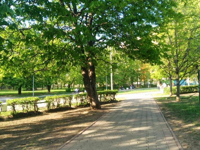 Один день из моей декретной жизни