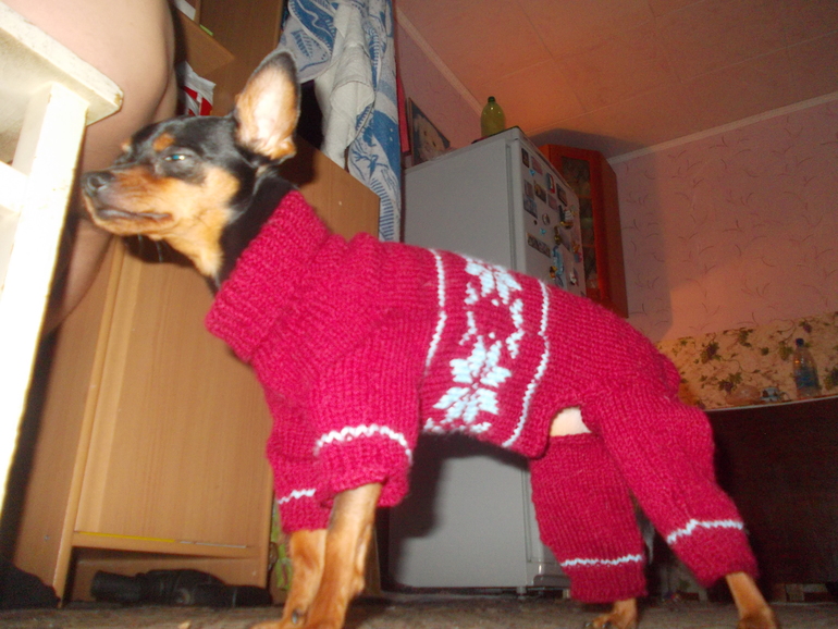 Вот и комбезик довязался)))