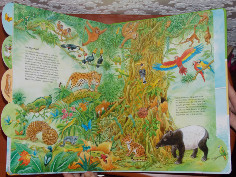 Развороты Meine Welt der Tiere by Hans-Günther Döring