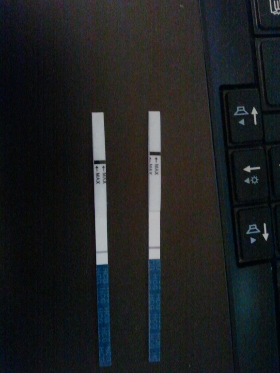 Тестомания ЗЛО!!!