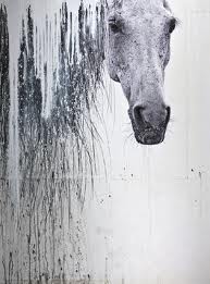 Лошади,лошадки,кони...