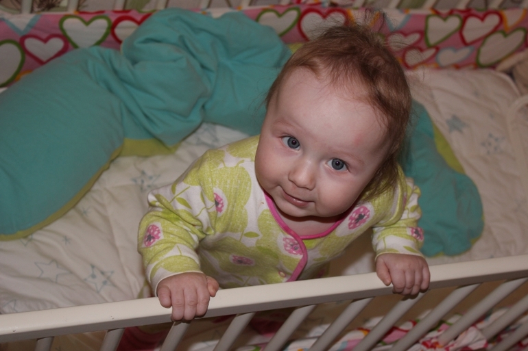 НОВЫЙ ГОД и последние новости