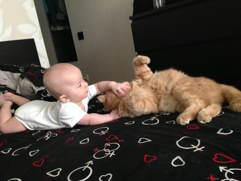 Как мы росли от 3 до 8 месяцев...