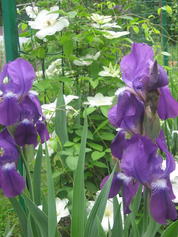 Летние, часть 1)