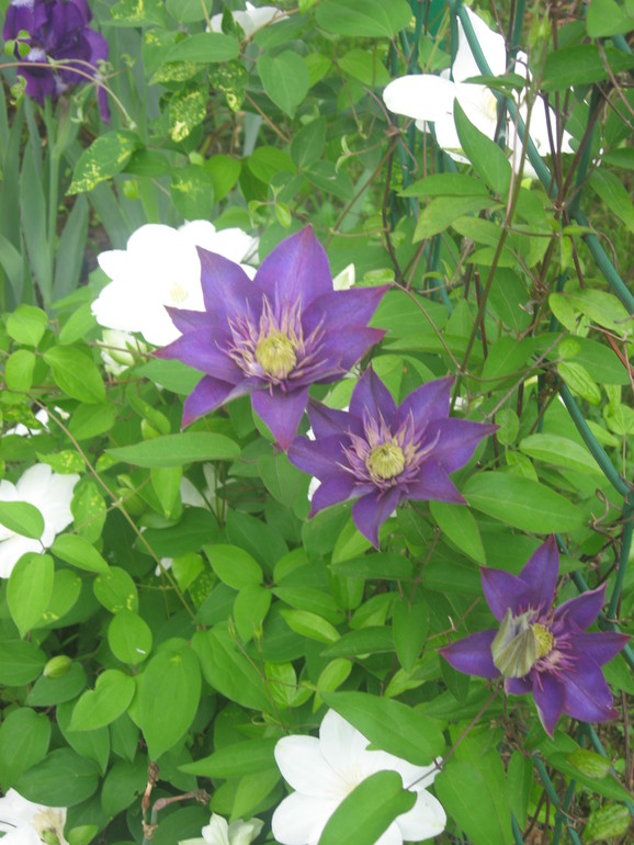 Летние, часть 1)