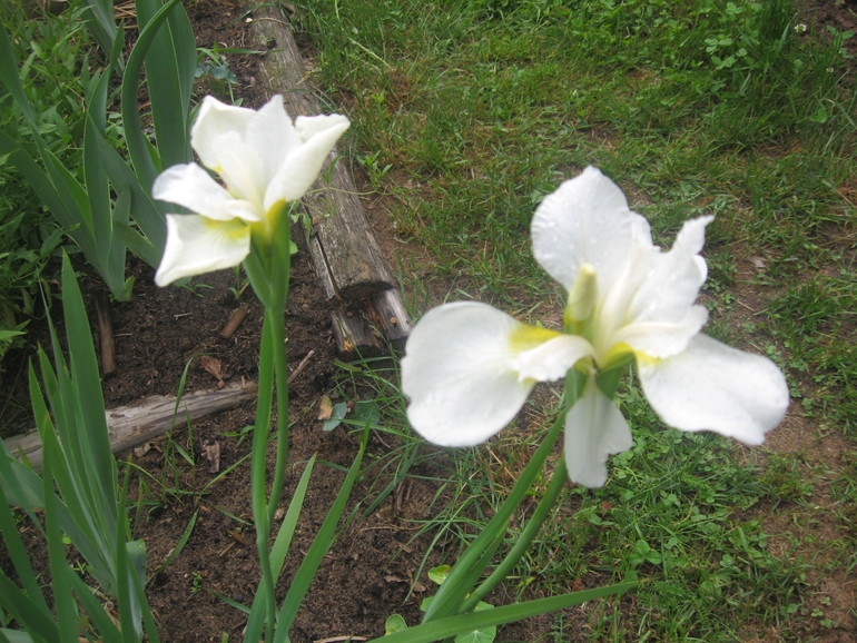 Летние, часть 1)