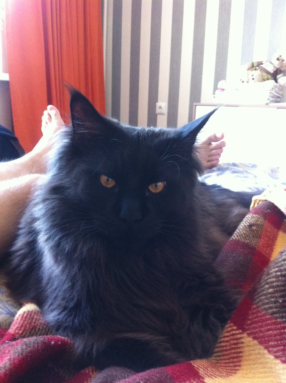 36 недель и 2 дня