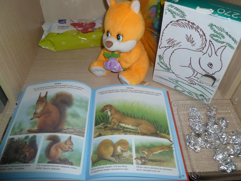 ТЗ «Как живет белка зимой»