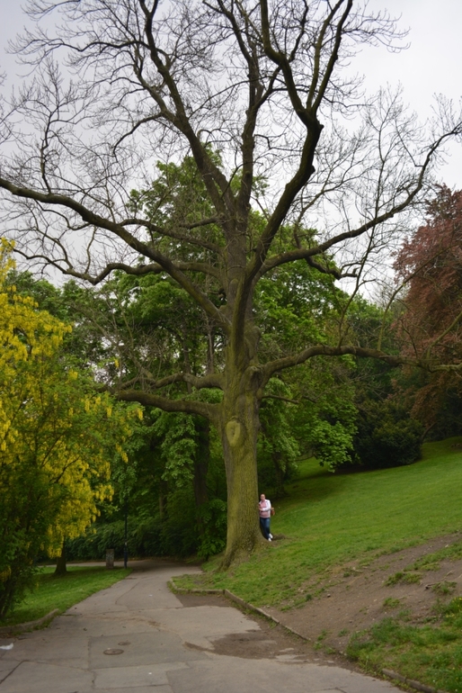 Путешествие в Прагу.