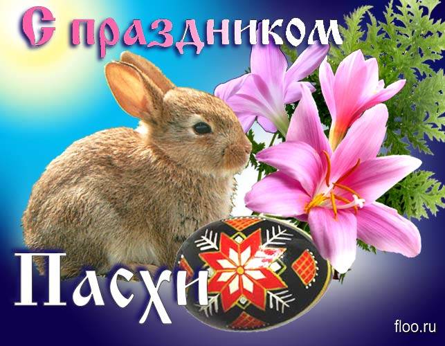 Девочки, с праздником!!!